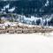 Arlberg Chalets Arlberg Chalets