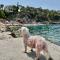 Apartman Ita Pet Friendly - Makarská