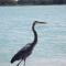 2BR/1BA Sienna Park, Sarasota Fl - Sarasota