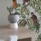 Nissi Collection Rooms