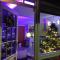 Stylish & Contemporary 5 * Fully Renovated Luxurious Holiday Cottage Ambleside