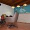 Trebol Amarillo Bed & Breakfast