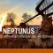 NEPTUNUS - Nieuport