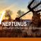 NEPTUNUS - Nieuwpoort