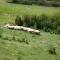 Nature Getaway in Passignano