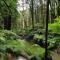 Cozy Otways Accommodation - Beech Forest