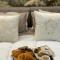 NM Luxury Suites