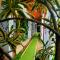 BellaVista Suites By Villas Verdes - Samara Beach