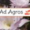 Ad Agros - Affittacamere