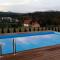 Villa Ducic