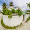 Faza View Inn, Maafushi - Maafushi