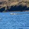 Carters Rest Guesthouse - Milovaig