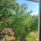 House "Olive Tree"