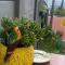 Walmer Cottage - Cute & Pet friendly