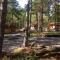 Camping Pod Heaven