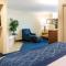 Comfort Inn - Piketon