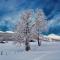Snow+Surf B&B - Lauenen