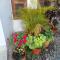 Sukoon.Homestay