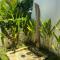 Balian Prana