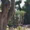 Giardino sul Mare