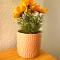Appartement centre ville chic et cozy
