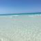FRONTE PINETA MARE RIVABELLA
