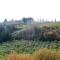 Agriturismo Terre di Toscana