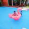 Holiday Resort - SHA Plus