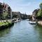 Gite Terre d'Helene 3 étoiles wifi, paisible, proche Strasbourg et commerces, animaux acceptés - Berstett