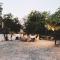 Lobeira - Centenary country house and gardens