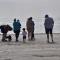 Talarfor Barmouth