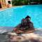 ArtKaroo Stay