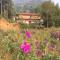 Vĩ Homestay