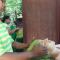 Eco Village Yoga Home