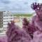 Ocean Point I _Bom 5 _ APP_45