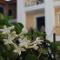 Renia Hotel Agia Pelagia -Crete
