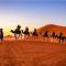 Merzouga Desert Luxury Camp - 梅尔祖卡