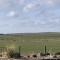 The Stable - NC500