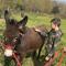 Farm accommodation - The Lizard Peninsula, Cornwall - 赫尔斯顿