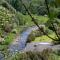 Cosy, dog friendly house on the fringe of the Brecon Beacons - Tredegar