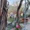 Holiday House Prodromos