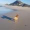 Brandys beach house bettys bay