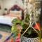 Highlands Riad