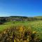 Merlin Farm Cottages short walk to Mawgan Porth Beach and central location in Cornwall - Mawgan Porth