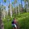 St James Beaver Creek, A Vail Resorts Property