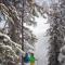 The Osprey at Beaver Creek, a RockResort - بيفر كريك