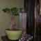 AshTree GuestHouse - Hanover