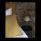 Square Rooms 20