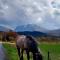 North Face Dwelling at Ardenvale Self Catering