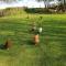 Cosy dog friendly lodge with an outdoor bath on the Isle of Wight